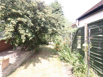 Picture 36